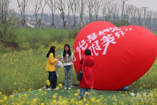 4月3日奶牛場油菜花海文旅活動 (3).jpg.jpg